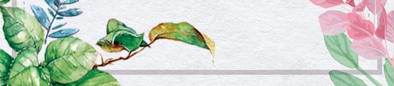 白色简约春季上新花卉边框背景jpg设计背景_88icon https://88icon.com 春季上新 边框背景 白色 简约 花卉 绿植 上新 新品
