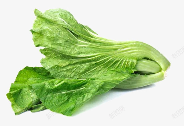 生鲜新鲜蔬果青菜png免抠素材_88icon https://88icon.com 生鲜 新鲜 蔬果 青菜