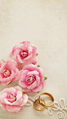 粉色花卉H5背景背景图片 粉色花卉H5背景背景