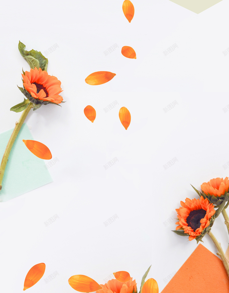 女人如花护肤品海报jpg设计背景_88icon https://88icon.com 护肤品 女人 护肤 海报 花 小清新 橙色 背景