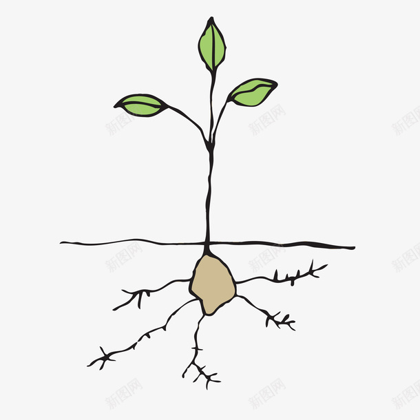 种子生根发芽素材图案ai免抠素材_88icon https://88icon.com 生根 发芽 土壤 秋分 秋收 秋种 秋季 秋天 线条 纹路 质感 矢量 手绘 装饰