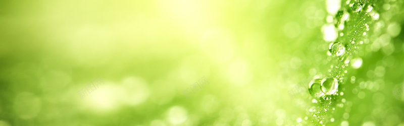 清新绿植光效背景jpg设计背景_88icon https://88icon.com anner 轮播图背景 全屏背景 清新 绿植 banner 光效 海报banner 文艺 小清新 简约