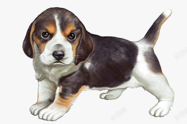 可爱的巴吉度犬png免抠素材_88icon https://88icon.com 狗 巴吉度 犬 动物