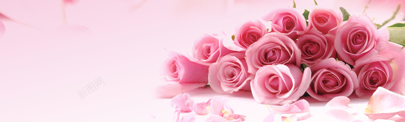 母亲节情人节玫瑰花瓣粉色bannerjpg设计背景_88icon https://88icon.com 海报banner