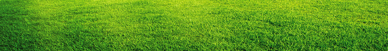 夏季饮品大放送海报背景素材psd设计背景_88icon https://88icon.com 夏天 夏季 夏日 奶茶 饮品 夏季饮品大放送海报设计PSD 1号网咖 缤纷盛夏 清凉饮品