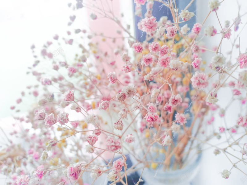 粉色小清新满天星背景jpg设计背景_88icon https://88icon.com 花 小清新 文艺 粉色 满天星