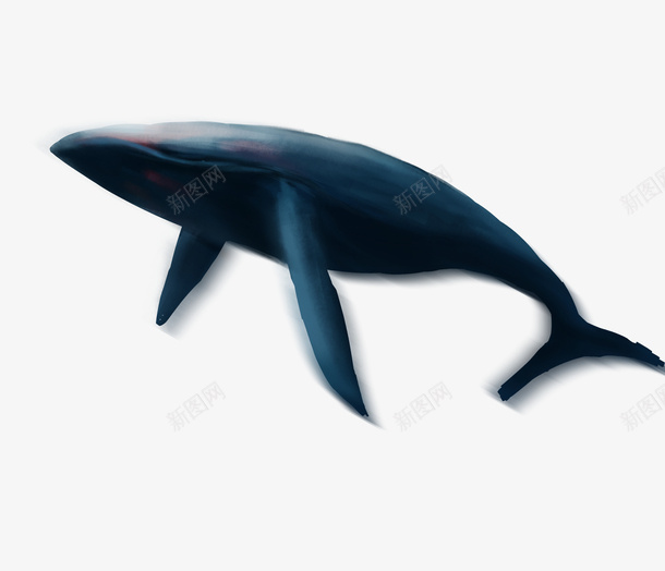 手绘神兽鲸鱼鲲png免抠素材_88icon https://88icon.com 鲸鱼 鲲 怪兽 手绘 黑夜