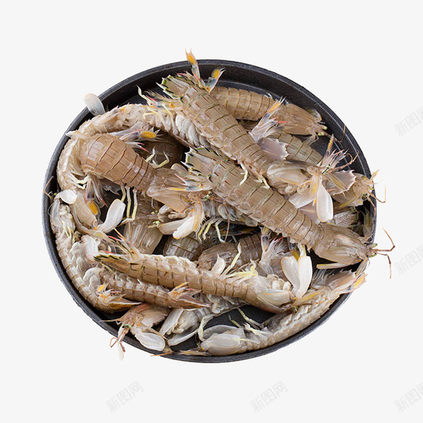 鲜活的皮皮虾png免抠素材_88icon https://88icon.com 虾 皮皮虾 鲜活皮皮虾 新鲜海鲜 海鲜