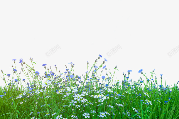 春天花卉背景植物png免抠素材_88icon https://88icon.com 花 花草 花卉 花草植物