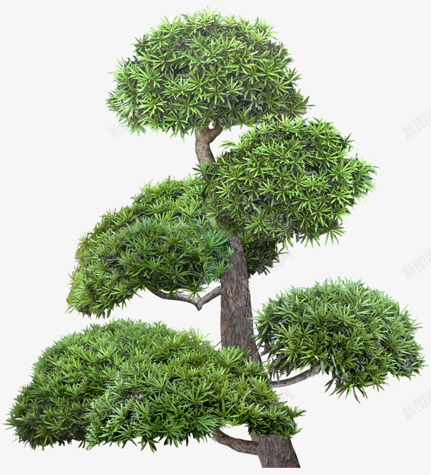 绿色植物免抠PNGpng免抠素材_88icon https://88icon.com PNG 免抠 植物 绿色