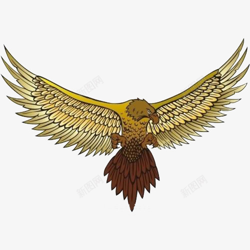展翅的海雕全身图片png免抠素材_88icon https://88icon.com 展翅 海雕 全身图 翅膀 羽毛 鹰类 动物 电脑效果图 白尾海雕