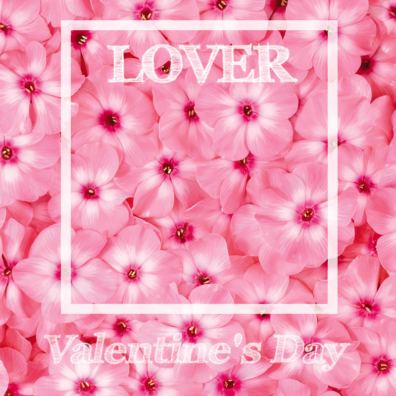 情人节粉色玫瑰花瓣背景psd设计背景_88icon https://88icon.com 情人节 粉色 玫瑰 梦幻 情侣 浪漫 主图