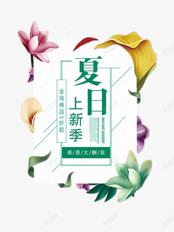 夏日上新季png免抠素材_88icon https://88icon.com 夏天 上新 艺术字 感恩 大酬宾 五折 半价 鲜花 新品