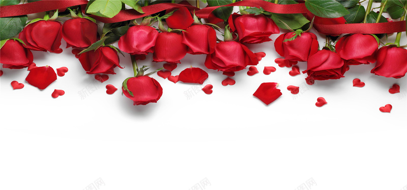 玫瑰花情人节海报背景jpg设计背景_88icon https://88icon.com 婚庆 结婚庆典 爱心 心形 情人节主题 情人节图片 七夕 节日素材 情人节海报 海报banner 浪漫 梦幻