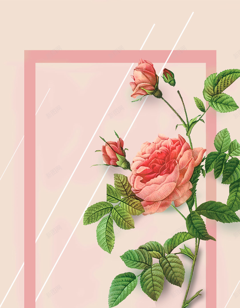 女生节粉色玫瑰边框H5背景素材jpg设计背景_88icon https://88icon.com 女生节 妇女节 玫瑰 粉色 边框 母亲节 宣传 PSD分层 H5背景素材