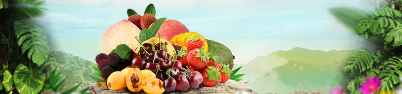 水果蔬菜盆栽瓜果健康绿色炫光bannerpsd设计背景_88icon https://88icon.com 健康 水果 瓜果 盆栽 蔬菜 绿色 炫光 banner海报