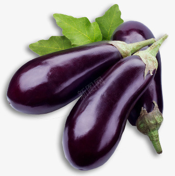 海鲜水果蔬菜肉类食物png免抠素材_88icon https://88icon.com 海鲜 水果 蔬菜 肉类 食物