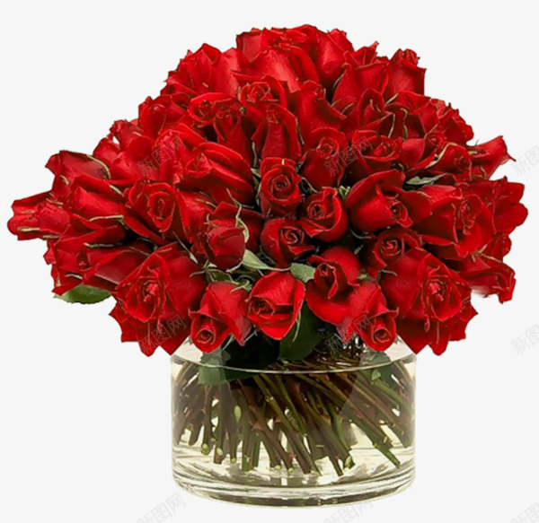 鲜花玫瑰花书生花瓣色彩png免抠素材_88icon https://88icon.com 鲜花 玫瑰花 书生 花瓣 色彩