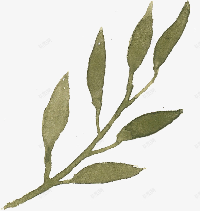 水彩手绘花卉花朵植物卡片邀请函图案合集免扣PS平面设计手绘 png免抠素材_88icon https://88icon.com 手绘 水彩 花卉 花朵 植物 卡片 邀请函 图案 合集 免扣 平面设计