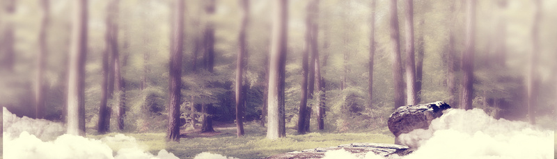 原始森林背景jpg设计背景_88icon https://88icon.com 横幅背景 森林 绿色 海报banner 摄影 全屏banner背景 风景