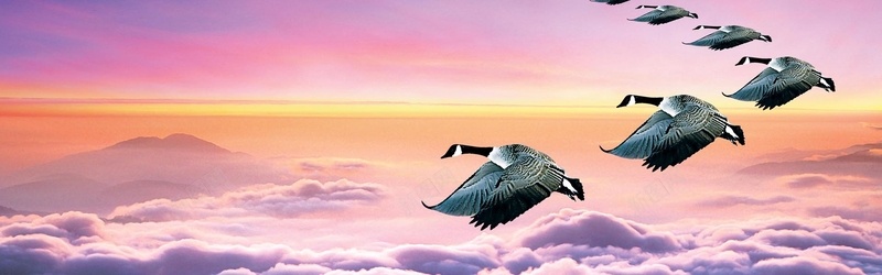 大雁团队企业文化jpg设计背景_88icon https://88icon.com 海报banner 企业文化 横幅背景 科幻 科技 全屏banner背景 商务