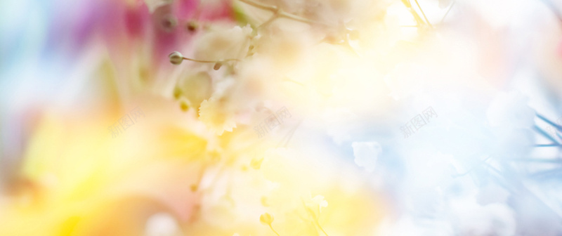 淘宝淡雅促销海报背景图片psd设计背景_88icon https://88icon.com 淘宝背景 天猫背景 京东背景 电商背景 广告背景 海报背景 促销海报 活动海报 轮播海报 淡雅背景 清新背景 花朵背景 温馨背景 柔美背景 时尚背景 唯美背景 素雅背景 柔色背景 暖色背景 背景底纹 图片素材 海报banner 文艺 小清新 简约