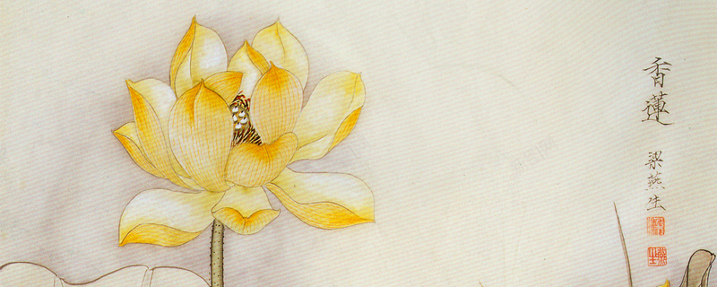 工笔画荷花香莲淘宝网站背景图psd设计背景_88icon https://88icon.com 工笔画 荷花 淘宝 网站 背景图 香莲 海报banner 中国风