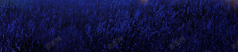 仲夏夜晚安之梦蓝色bannerpsd设计背景_88icon https://88icon.com 仲夏夜之梦 你好八月 八月你好 励志 卡通海报 图 文艺 旅游 早安 晚安海报 月亮 梦想 森系 清新