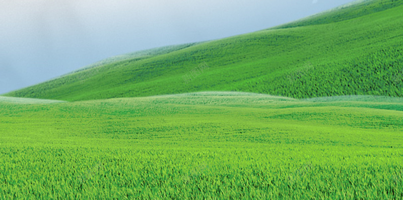 草原H5背景jpg设计背景_88icon https://88icon.com 叶子 天空 清新 绿色 草原 H5背景 白色 H5 h5 文艺 小清新 简约
