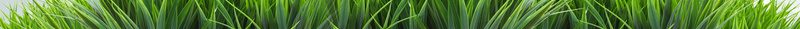 黑蓝云朵灯泡l电力发电草地印刷背景psd设计背景_88icon https://88icon.com 印刷背景 电力发电 云朵 草地 黑蓝 灯泡l 文艺 小清新 简约