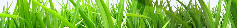 清新城市环保公益海报背景psd设计背景_88icon https://88icon.com 公益 城市 海报 清新 环保 蓝天 白云 绿叶 气泡 文艺 小清新 简约
