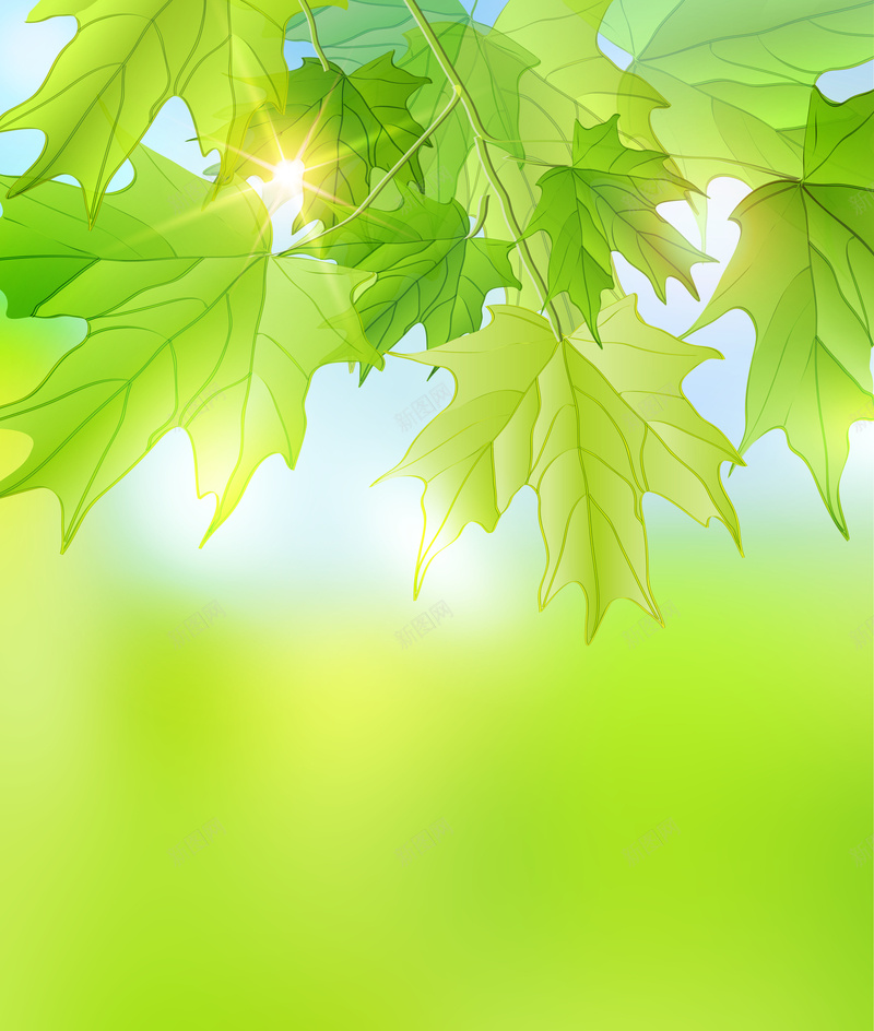 春天气息绿叶背景春季海报jpg设计背景_88icon https://88icon.com 春天吊旗 春天广告 春天气息 春季海报 绿叶背景 春天来了 蓝天 繁星 自然景观 风景