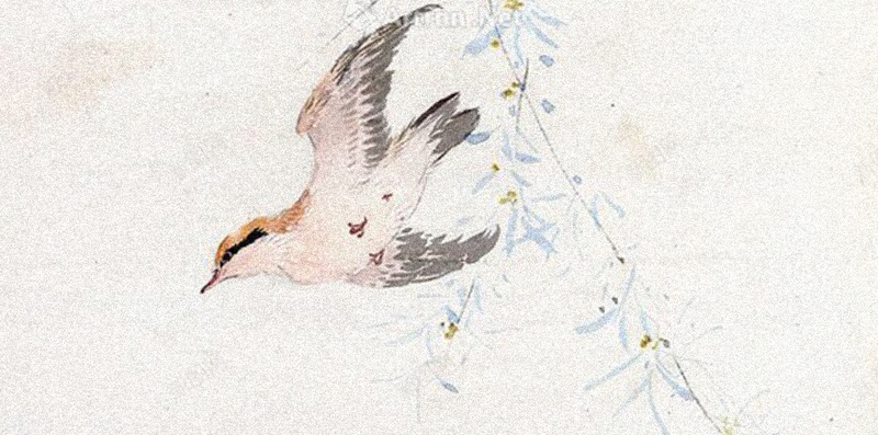 水彩画H5背景jpg设计背景_88icon https://88icon.com 水彩 花鸟 中国风 H5背景 H5 h5