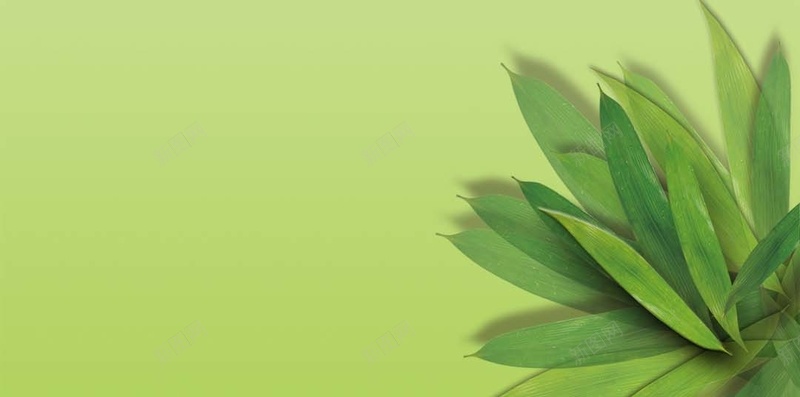 端午节简约渐变粽叶H5背景jpg设计背景_88icon https://88icon.com 包粽子 粽叶 绿色 渐变 简约 端午节 粽子 H5 h5