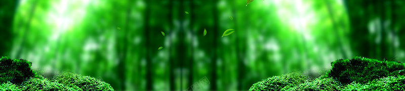 植物护肤树林唯美背景bannerpsd设计背景_88icon https://88icon.com 植物 护肤 树林 唯美 背景 banner 绿色 树叶 海报banner 文艺 小清新 简约