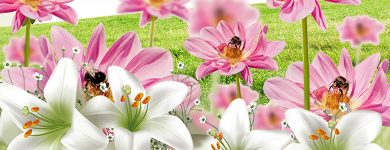 简约花朵印刷背景psd设计背景_88icon https://88icon.com 绿色蓝色 粉红色 叶子 太阳 简约 花朵印刷背景 文艺 小清新