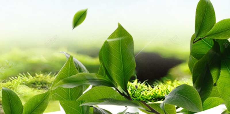 自然清新psd分层H5背景素材psd设计背景_88icon https://88icon.com 自然 绿叶 草地 蓝天 背景 H5背景 海报 开心 清新 摄影 风景