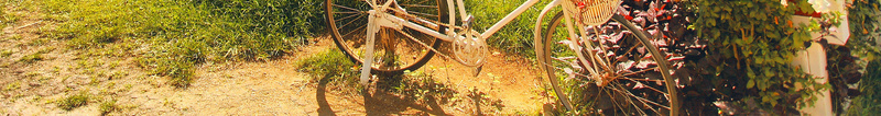 旅游风光海报额比较psd设计背景_88icon https://88icon.com 风景 旅游 风光 泰国 清迈 宣传单 树叶 别墅 田园