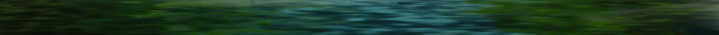 格林童话梦幻卡通绿色森林背景jpg设计背景_88icon https://88icon.com 格林童话 卡通 梦幻 森林 绿色 浪漫