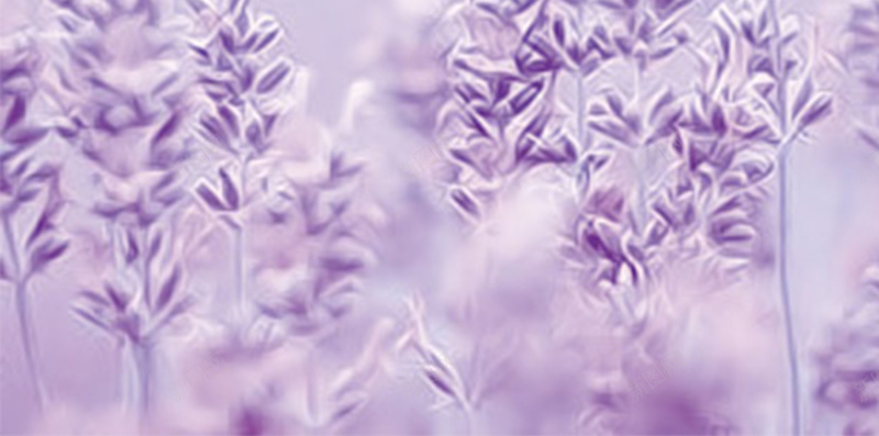 唯美浪漫紫色薰衣草H5图jpg设计背景_88icon https://88icon.com 薰衣草 唯美 梦幻 浪漫 紫色 文艺 简约 渐变 浪漫紫色薰衣草H5素材