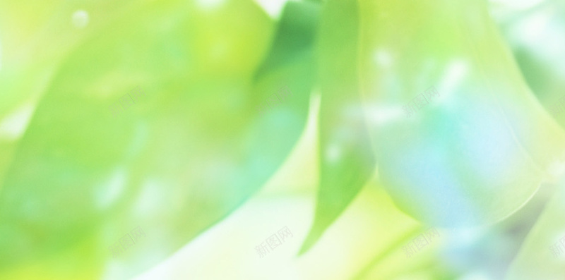 绿底树叶发光H5背景素材jpg设计背景_88icon https://88icon.com 发光 天空 树叶 绿底 蓝色 H5 白云 简约 发光背景 树叶素材