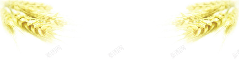 收获的季节jpg设计背景_88icon https://88icon.com 海报banner 收获的季节 海报背景 大麦 黄色