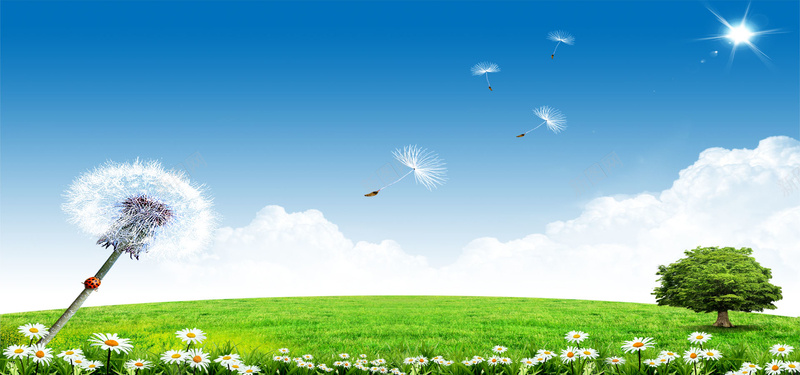 春天美景psd设计背景_88icon https://88icon.com 春天美景 蒲公英 海报banner 摄影 风景