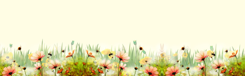 唯美格桑花海报背景psd设计背景_88icon https://88icon.com 格桑花 摄影 海报背景 banner 简约 大气 通用 淘宝海报 背景素材 唯美 背景 海报banner 文艺 小清新