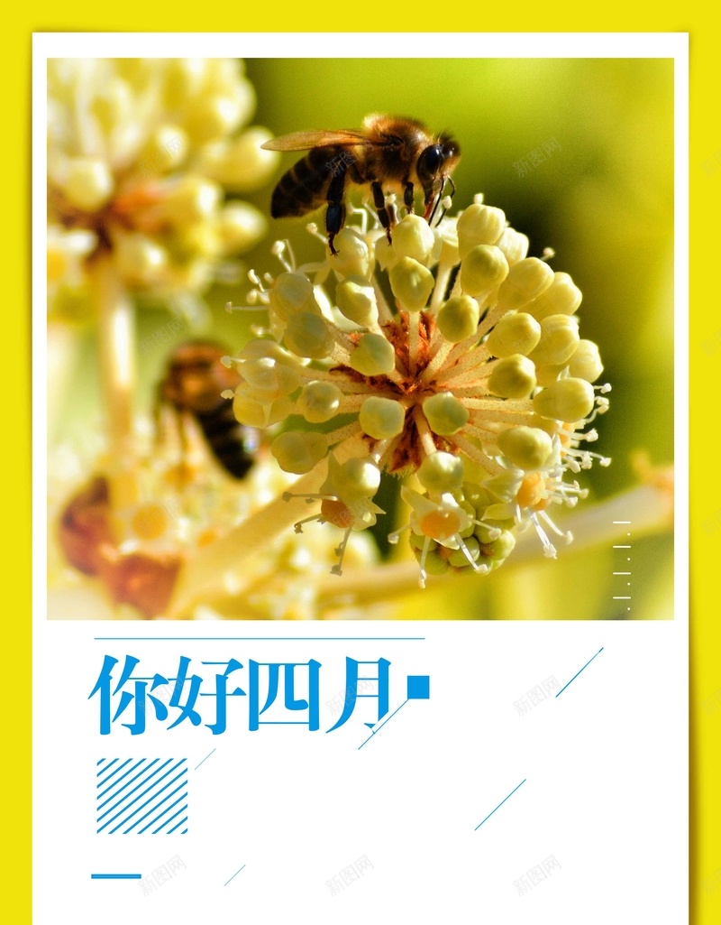 你好四月清新简约背景psd设计背景_88icon https://88icon.com 你好四月 大气 清新 花朵 黄色 你好 商业配图 简约背景