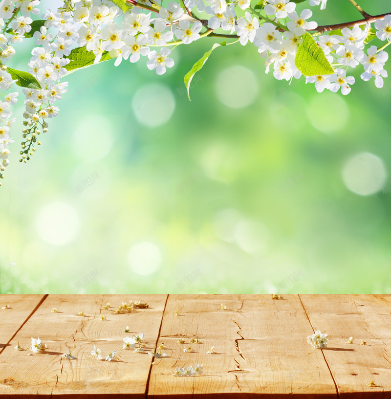 清新花朵光晕木质地板海报背景素材jpg设计背景_88icon https://88icon.com 光晕 地板 木质 清新 花朵 海报 背景 高清 背景素材 免费背景 背景下载