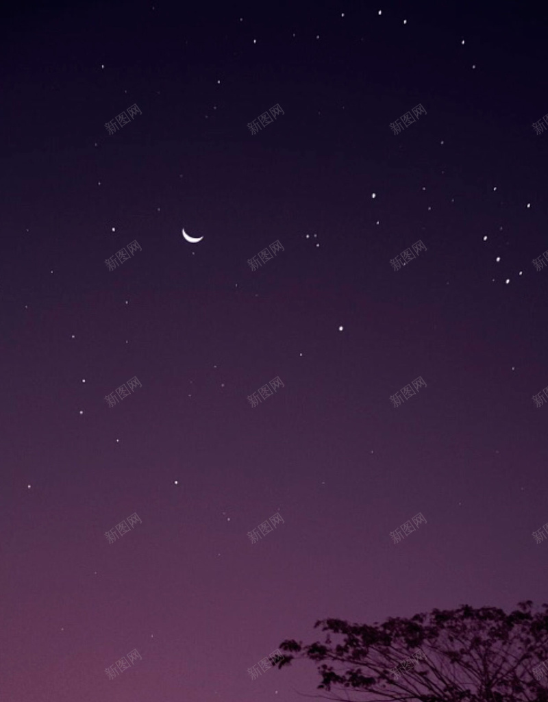 紫色扁平动物剪影背景图jpg设计背景_88icon https://88icon.com 动物 大象 扁平 星空 紫色 剪影 小清新 矢量 扁平化