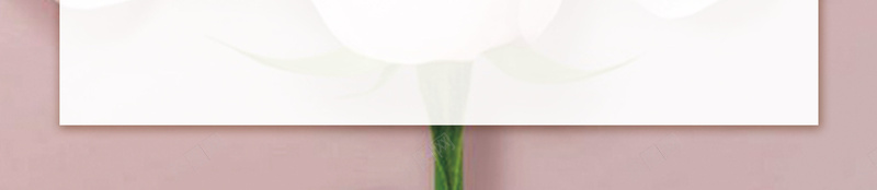 卡通母亲节节日海报psd设计背景_88icon https://88icon.com 卡通海报 母亲节 卡通 海报 节日 母亲节海报 展板背景 节日海报