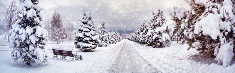 冬天雪花海报banner背景jpg设计背景_88icon https://88icon.com 冬天 树木 椅子 白色 雪花 寒冷 浪漫 清新 干净 雪人