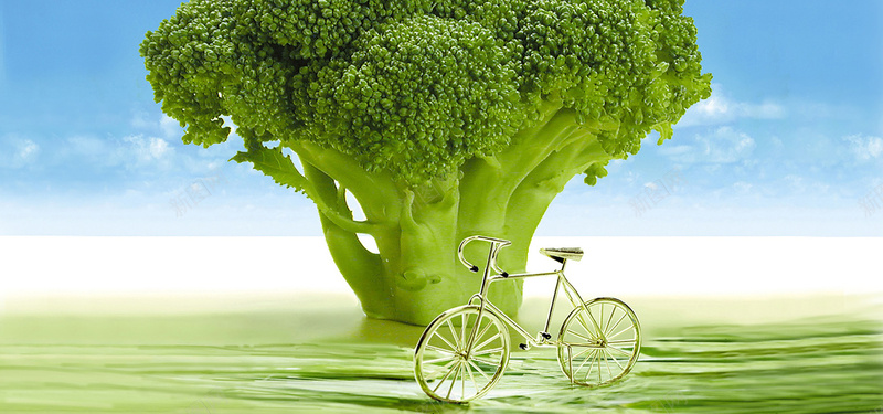 西兰花jpg设计背景_88icon https://88icon.com 蔬菜 西兰花 植物园 春天 绿色 海报banner 摄影 风景